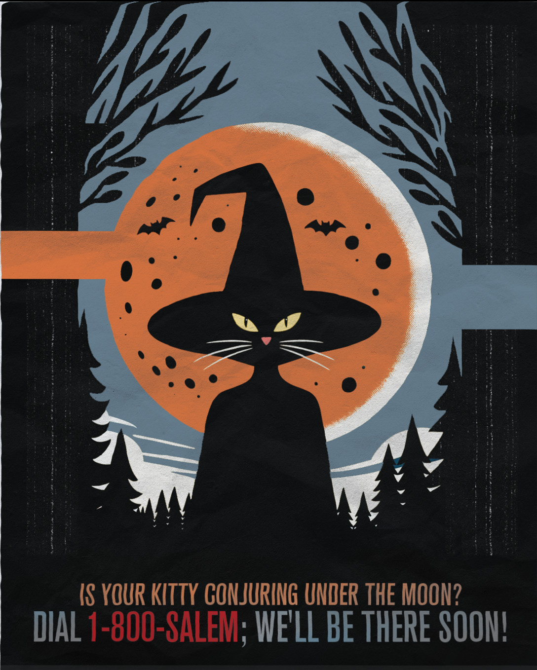 Black Cat Poster 6